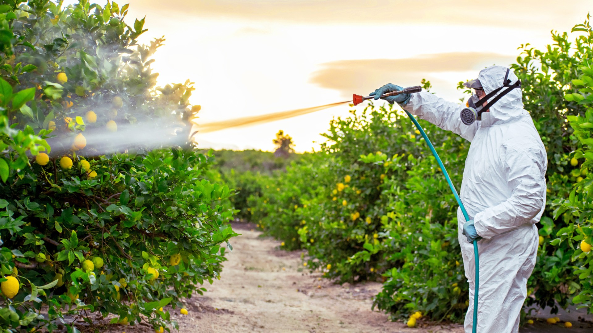 Short Sprayer Gun - Aluminum Nozzle